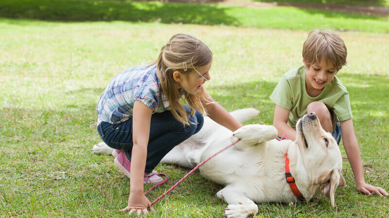 vacanze animali dolomiti