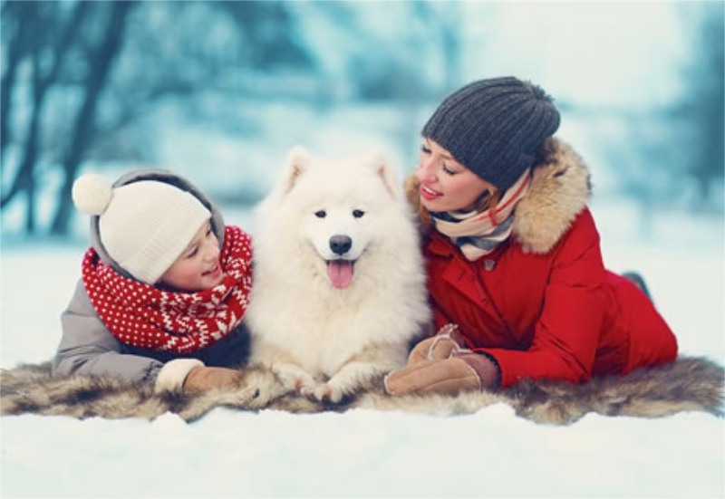 vacanze invernali dolomiti animali ammessi